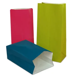 Colored Paper Party Bags